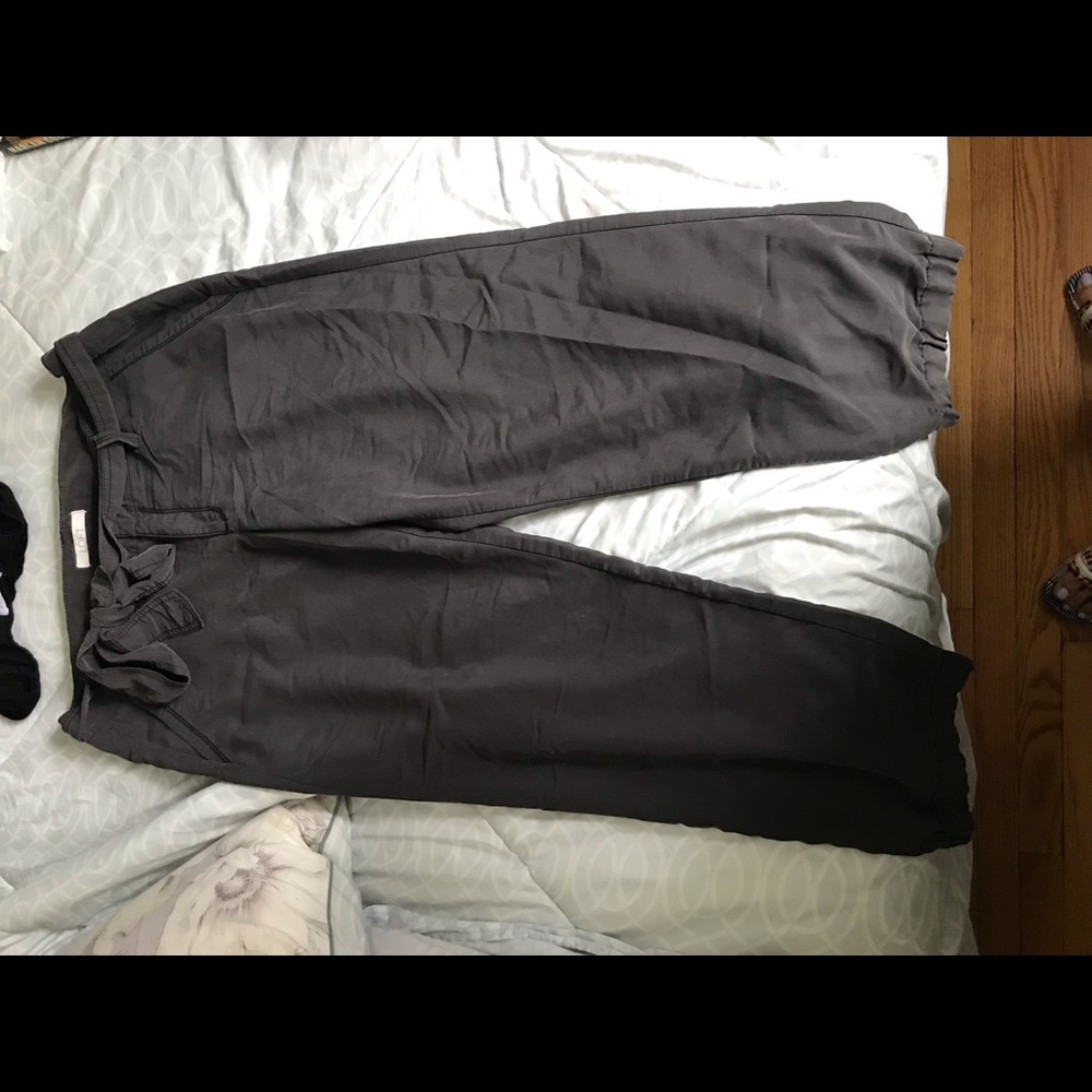loft pants